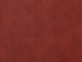 Importer leather 88 leathercollection 系列 真皮 牛皮 沙發皮革 601 馬鞍皮 紅棕色雲彩